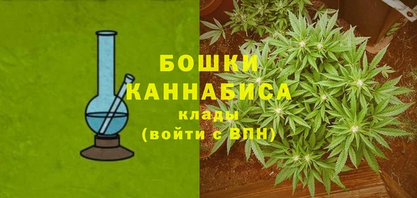 бошки Алексин