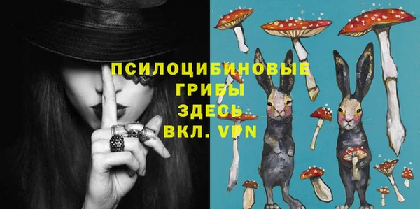 бошки Алексин