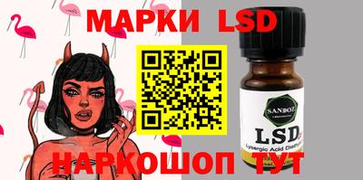 амф Гатчина