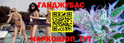 амф Гатчина