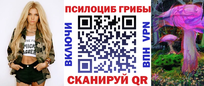 Псилоцибиновые грибы прущие грибы Глазов