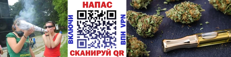 где можно купить   Глазов  Каннабис ГИДРОПОН 